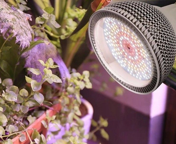 Oświetlenie do roślin Hurt-Mix (F.H. Tech-Led)